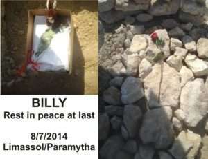 Billy jpg exclusive, Court, Nea Famagusta, Billy Dog