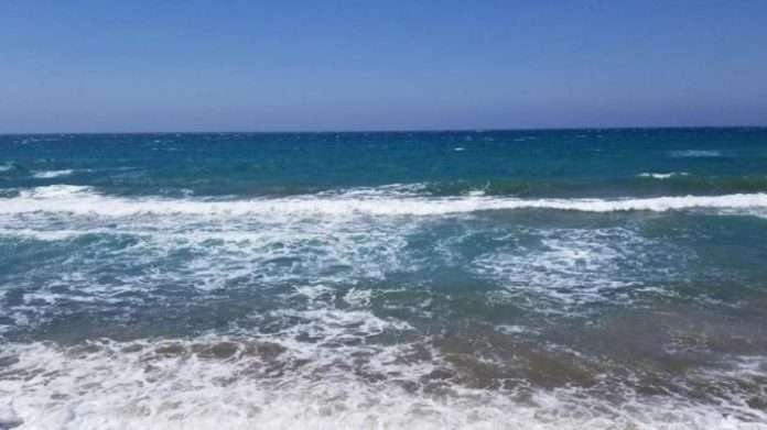 sea-cy