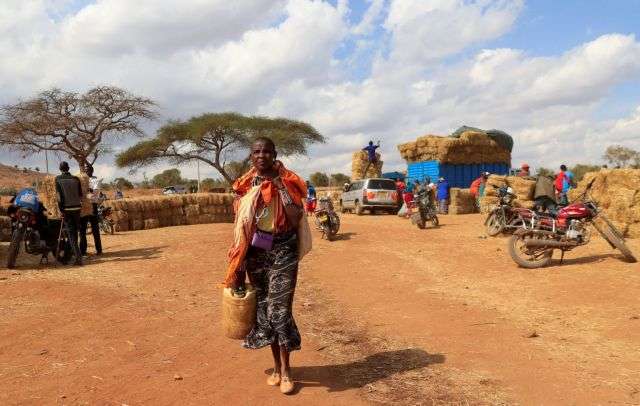 Drought in Kenya forces Maasai herders to sell emaciated cattle in Kajiado