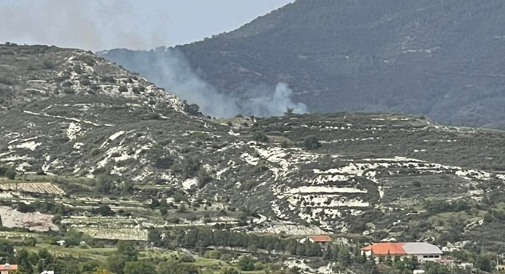 Πυρκαγιά στα Μανδριά: Τέσσερα πτητικά μέσα στη μάχη με τις φλόγες!