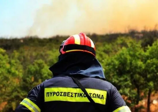 Δασική πυρκαγιά στα Μανδριά τέθηκε γρήγορα υπό έλεγχο