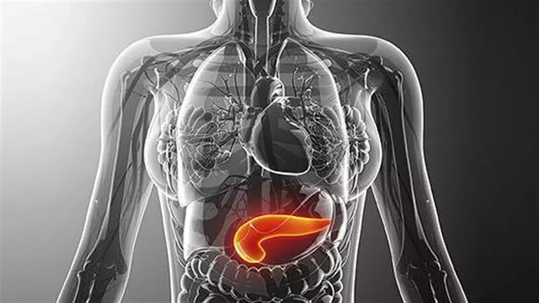 Συμμετοχή του ΠΑΣΥΚΑΦ στην παγκόσμια εκστρατεία «Hello Pancreas» για την Παγκόσμια Ημέρα Καρκίνου Παγκρέατος