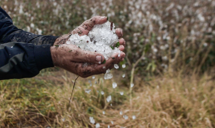 Αποζημιώσεις στους αγρότες για τις ζημιές από το χαλάζι – Όλες οι πληροφορίες