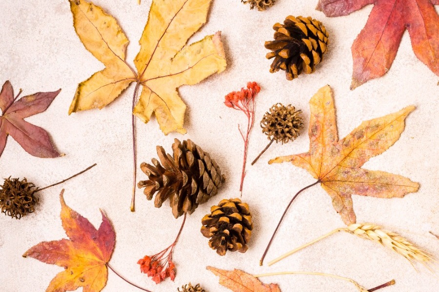 Τα ζώδια σήμερα 11/11: Μπαίνεις σε φάση δράσης