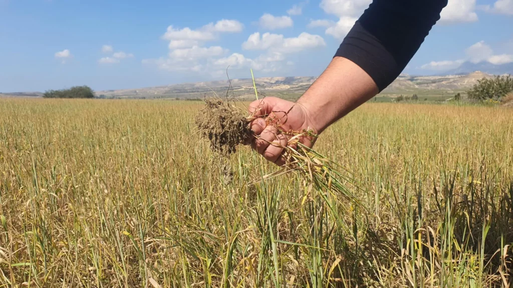 &laquo;&Sigma;&tau;&epsilon;&gamma;&nu;ώ&nu;&epsilon;&iota;&raquo; &omicron; &alpha;&gamma;&rho;&omicron;&tau;&iota;&kappa;ό&sigmaf; &tau;&omicron;&mu;έ&alpha;&sigmaf;: &Tau;&omicron; &Tau;&mu;ή&mu;&alpha; &Alpha;&nu;&alpha;&pi;&tau;ύ&xi;&epsilon;&omega;&sigmaf; &Upsilon;&delta;ά&tau;&omega;&nu; έ&kappa;&omicron;&psi;&epsilon; &tau;&omicron; &nu;&epsilon;&rho;ό &sigma;&tau;&omicron;&upsilon;&sigmaf; &gamma;&epsilon;&omega;&rho;&gamma;&omicron;ύ&sigmaf;